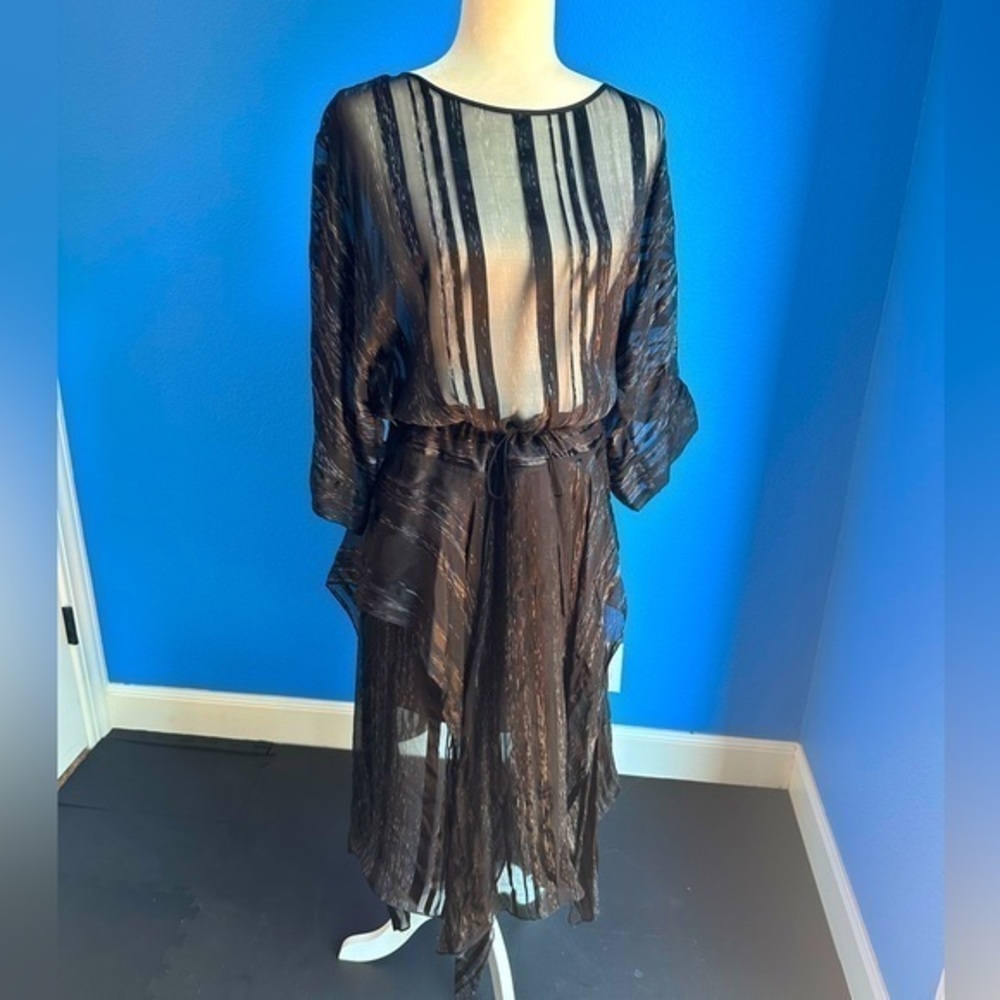 Sheer black dress, sheer top adjustable waist